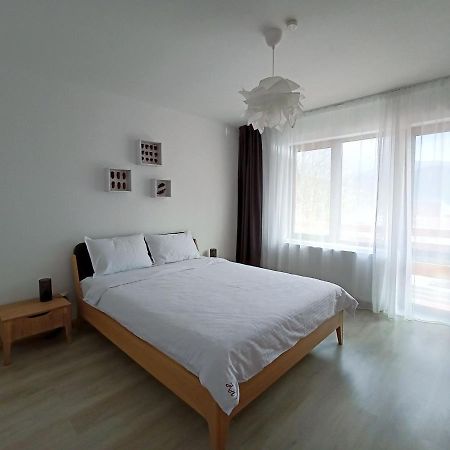 Zander Home Apartment Buşteni Dış mekan fotoğraf