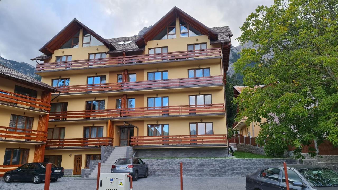Zander Home Apartment Buşteni Dış mekan fotoğraf