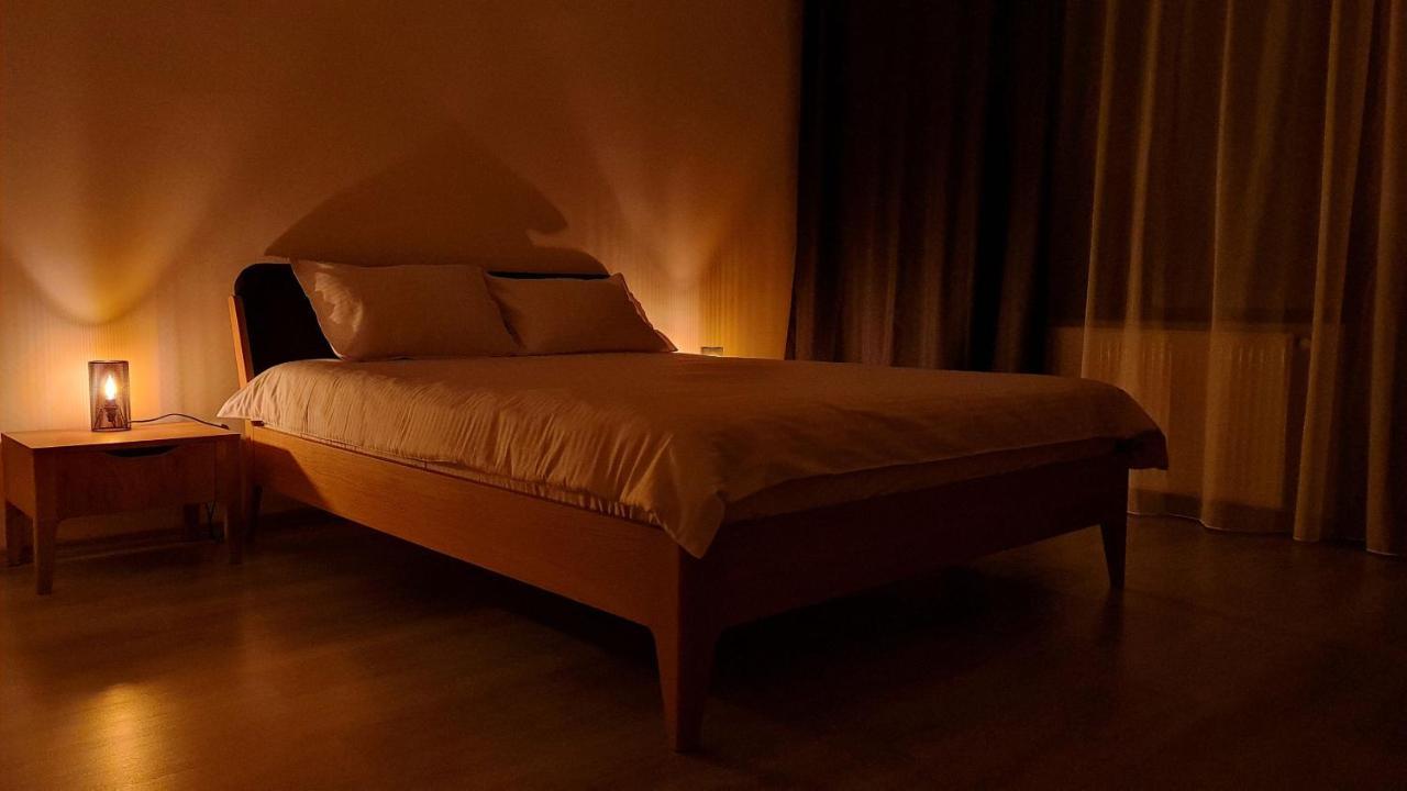 Zander Home Apartment Buşteni Dış mekan fotoğraf