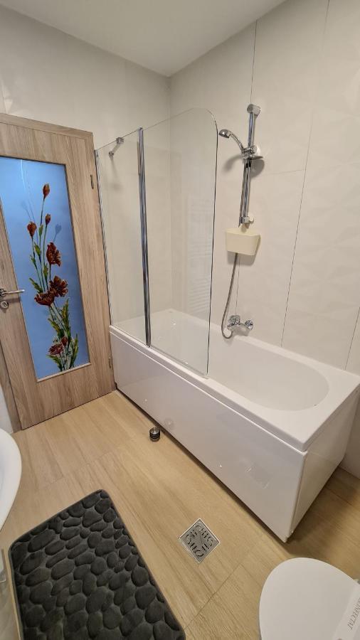 Zander Home Apartment Buşteni Dış mekan fotoğraf