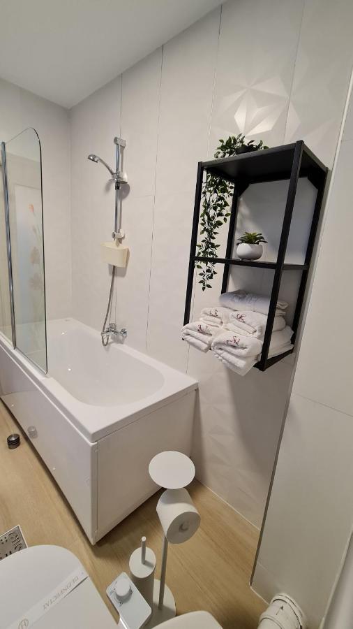 Zander Home Apartment Buşteni Dış mekan fotoğraf