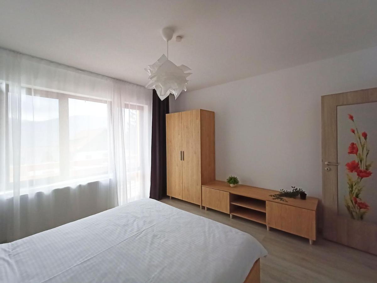 Zander Home Apartment Buşteni Dış mekan fotoğraf