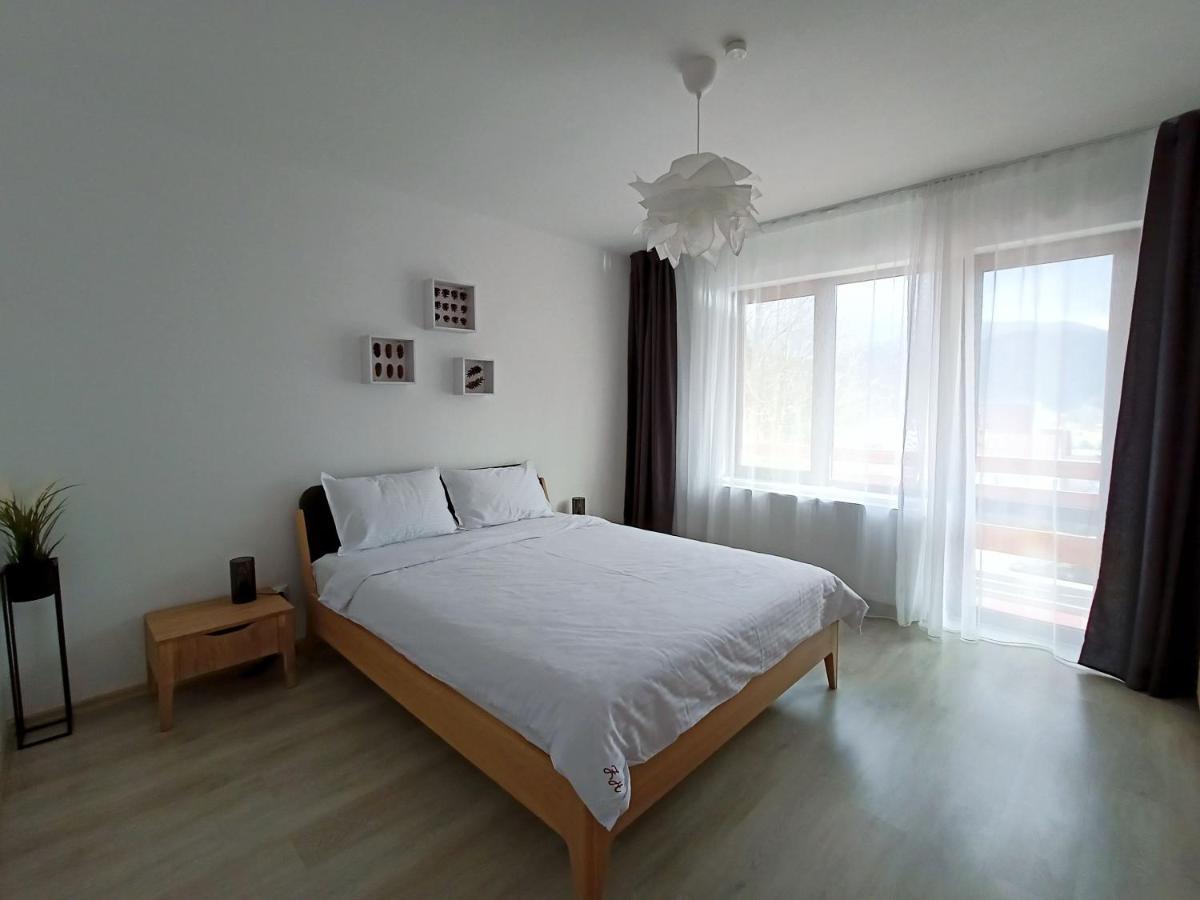Zander Home Apartment Buşteni Dış mekan fotoğraf
