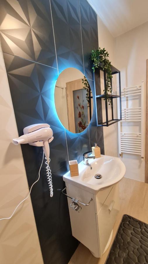 Zander Home Apartment Buşteni Dış mekan fotoğraf